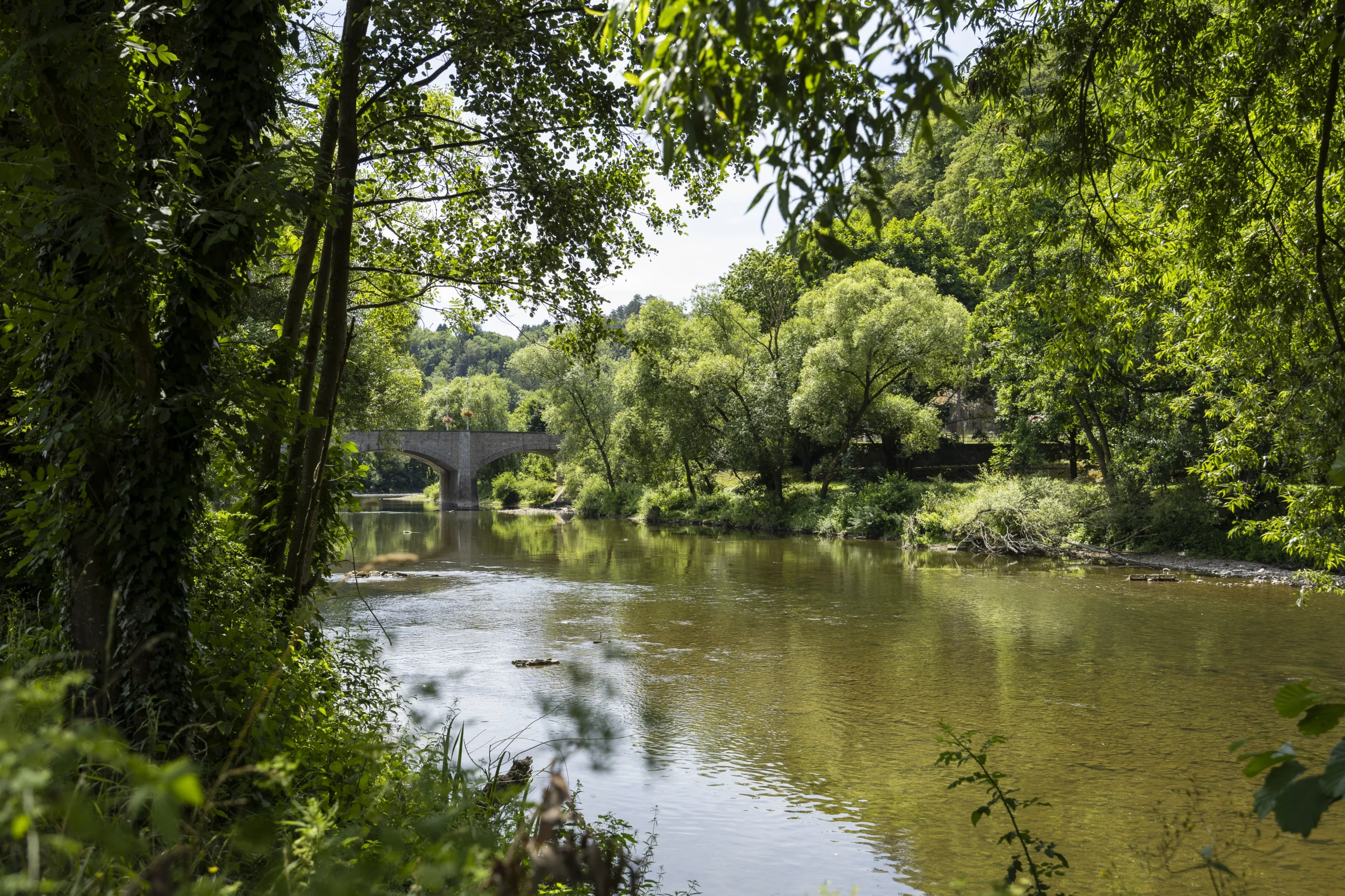 Vue panoramique de la rivière près de notre camping durbuy